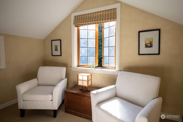 living area with vaulted ceiling and carpet flooring