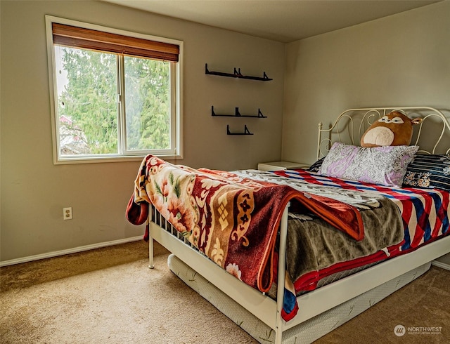 bedroom with carpet floors