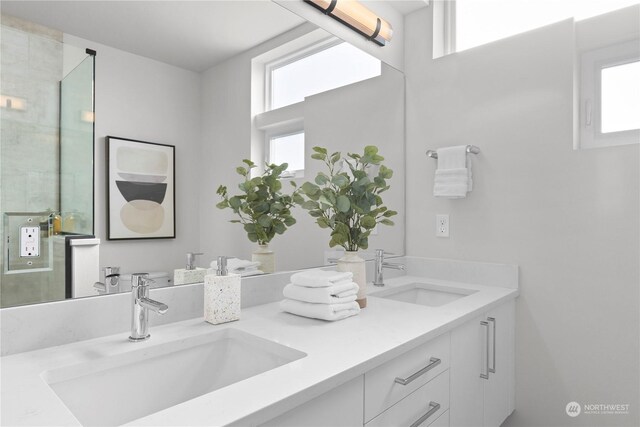 full bathroom with double vanity, a wealth of natural light, and a sink