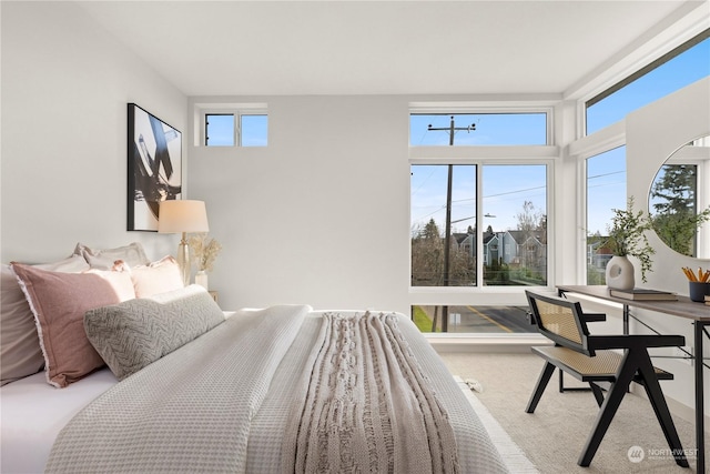 view of carpeted bedroom