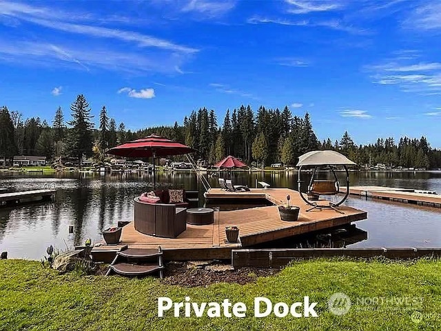 dock area with a water view