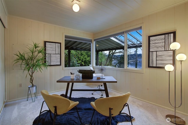 carpeted office with a water view