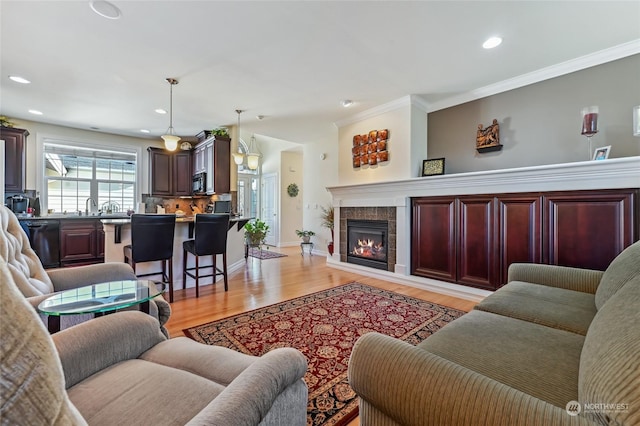 living room with sink, crown molding, a fireplace, and light wood-type flooring