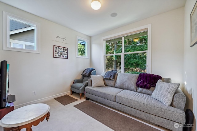 living room featuring carpet