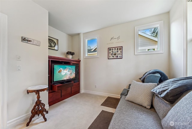 living room featuring light carpet