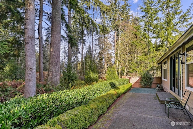 view of yard with a patio area