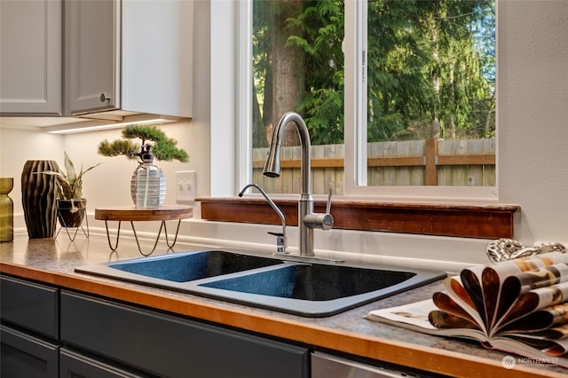 interior details with sink and gray cabinets