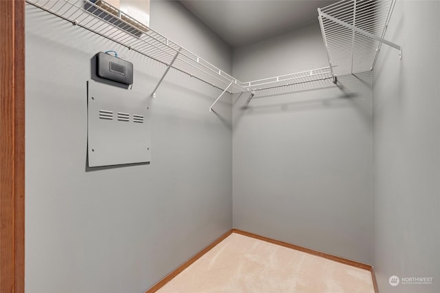 walk in closet with light colored carpet