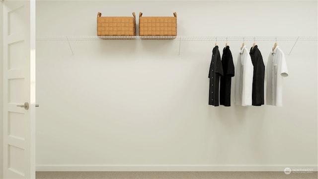 view of spacious closet