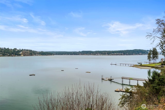 view of water feature featuring a dock