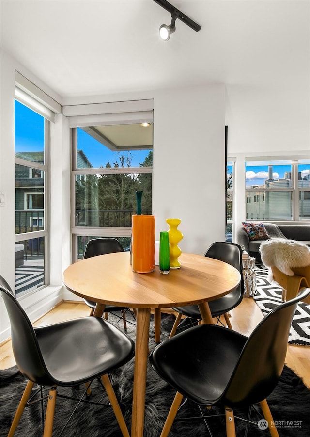 dining room featuring wood-type flooring