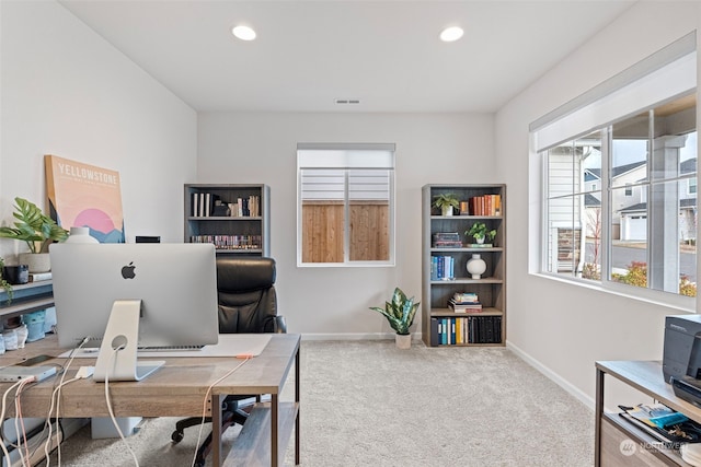 office with plenty of natural light and carpet flooring