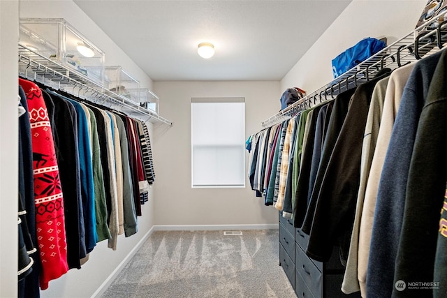 walk in closet with carpet