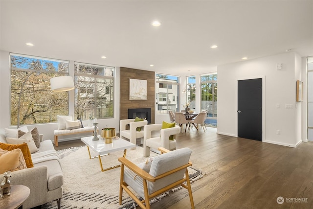 living room featuring dark hardwood / wood-style floors and a fireplace