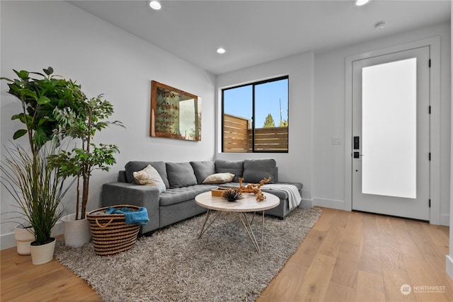 living room featuring hardwood / wood-style flooring