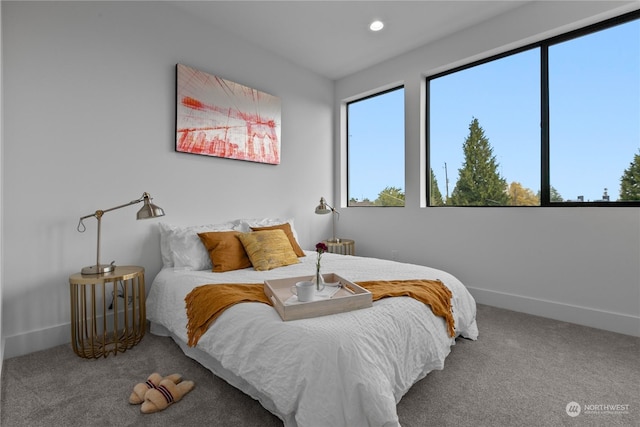 bedroom featuring carpet flooring