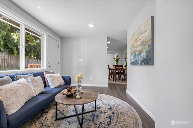 living room with dark hardwood / wood-style floors