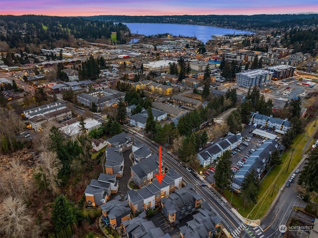 aerial view at dusk with a water view