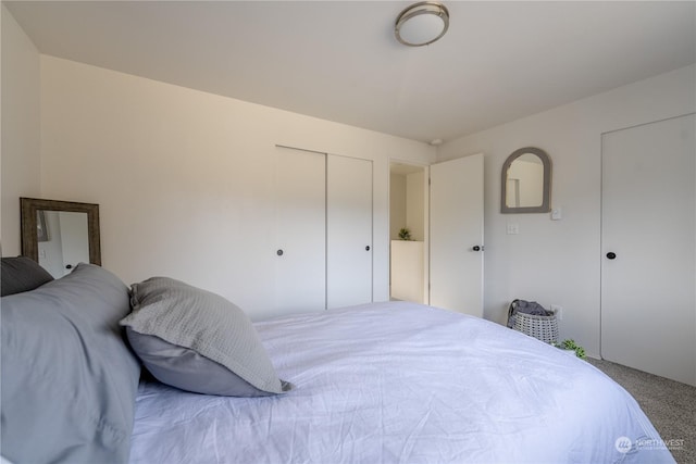 bedroom with carpet floors and a closet