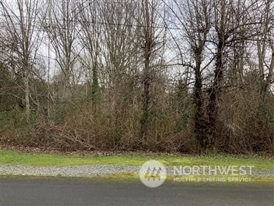 0 17th Ave SW, Seattle, WA 98106