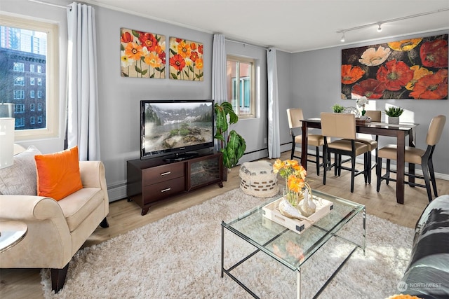 living room with track lighting and light wood-type flooring