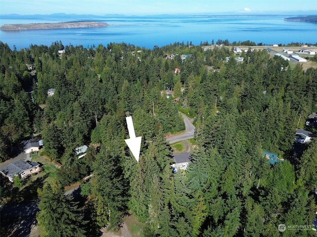 213 Madrona Way, Sequim, WA 98382 - birds eye view of property featuring a wooded view and a water view