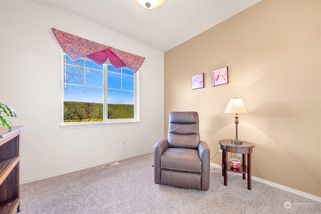 living area featuring carpet