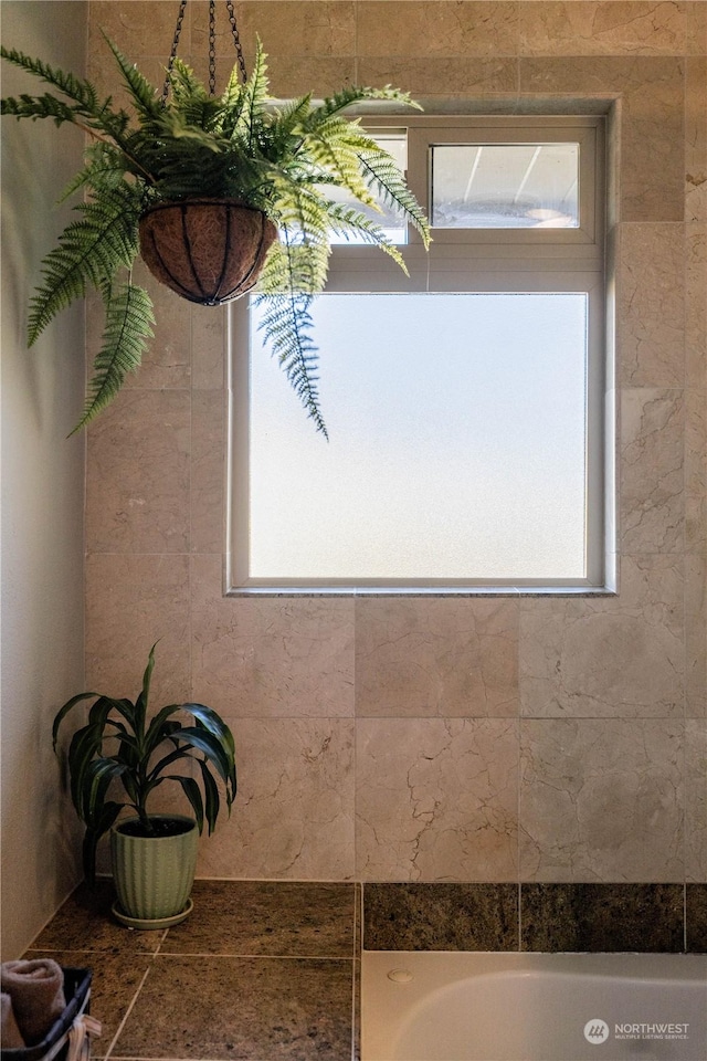 bathroom featuring a healthy amount of sunlight and a tub