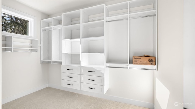 spacious closet featuring light colored carpet