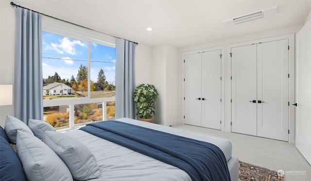 carpeted bedroom featuring multiple windows and multiple closets