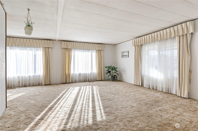 empty room with carpet flooring