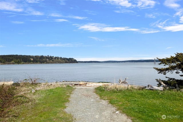 view of water feature