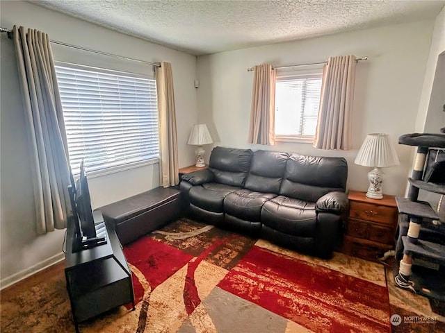 living room with a textured ceiling