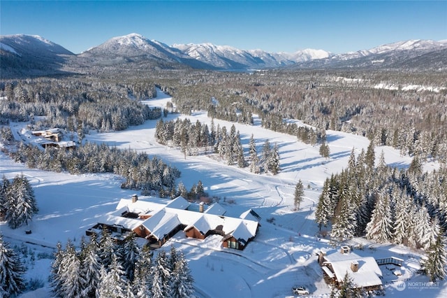 snowy aerial view featuring a mountain view