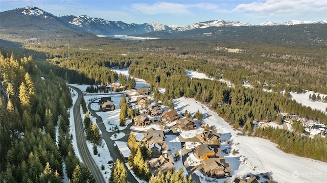 birds eye view of property featuring a mountain view