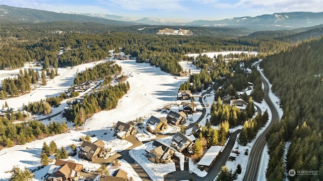 drone / aerial view featuring a mountain view