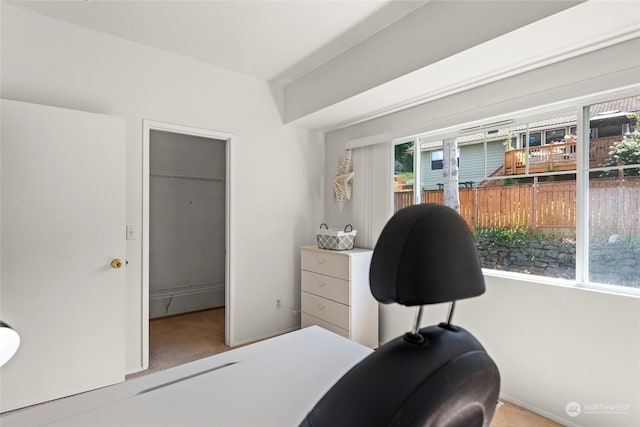 bedroom featuring a walk in closet, a closet, and carpet flooring