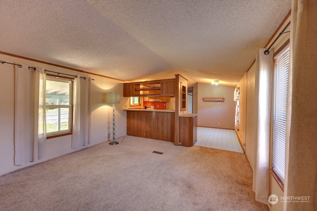 unfurnished living room with light colored carpet, lofted ceiling, and a textured ceiling