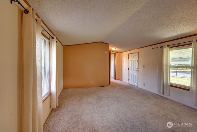 unfurnished room featuring lofted ceiling, a wealth of natural light, and a textured ceiling