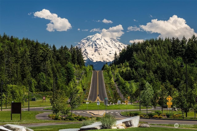 view of property's community featuring a mountain view and a yard