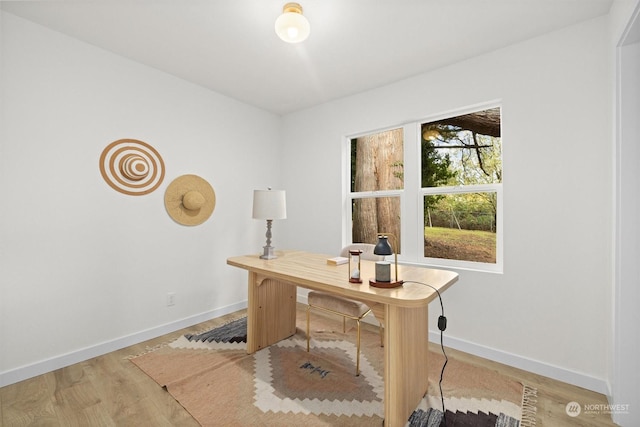 office with wood-type flooring