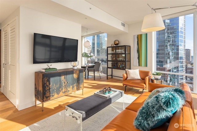 living room with wood-type flooring