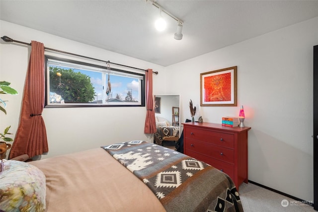 bedroom featuring rail lighting and carpet flooring