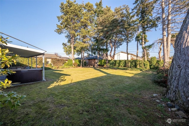 view of yard featuring a hot tub