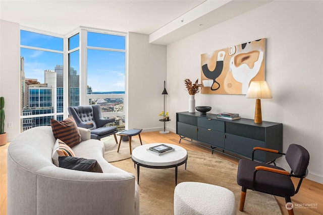 living room featuring expansive windows and light wood-type flooring