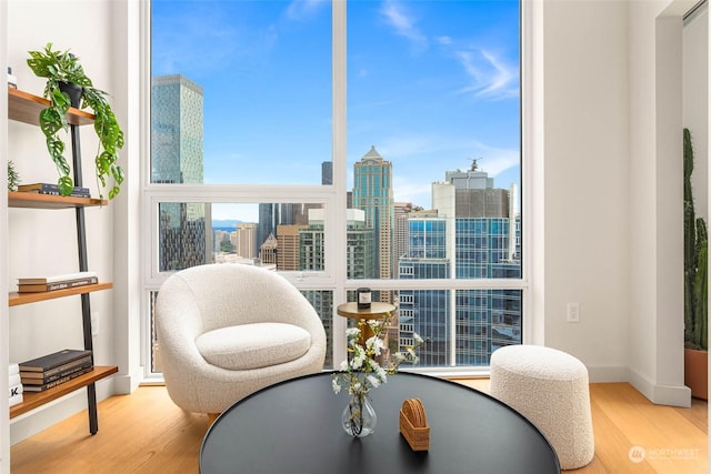 interior space featuring light hardwood / wood-style floors