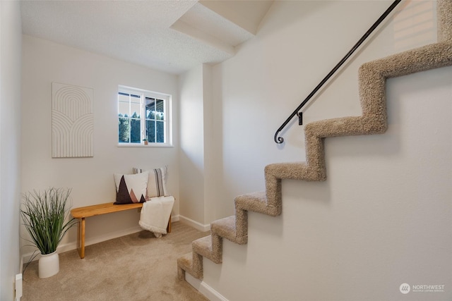 living area with carpet floors