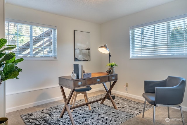 carpeted office featuring a wealth of natural light