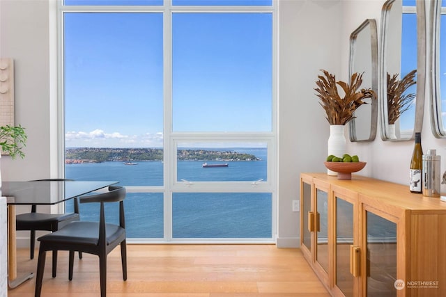 interior space featuring a water view, a healthy amount of sunlight, and light hardwood / wood-style flooring