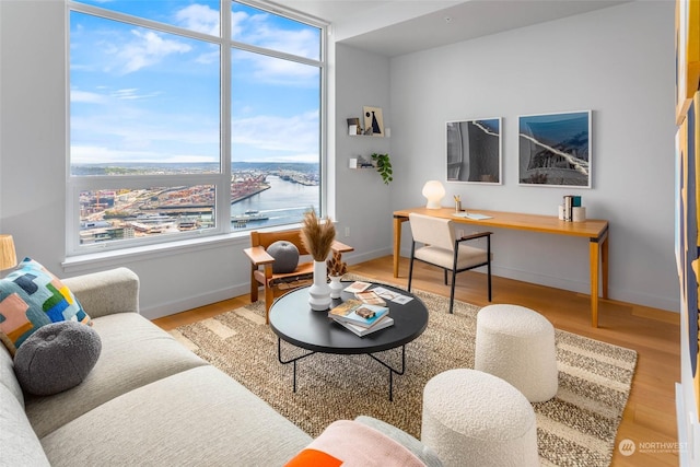 living room featuring a water view and light wood-type flooring